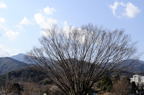D2013007_008H