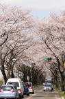 D2013023_038V