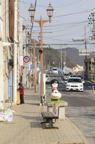 D2013027_115V