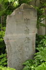 D2013031_010V