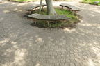 D2013034_014H