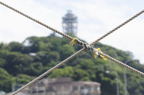 D2013035_012H