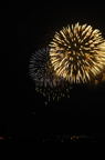D2013041_082V