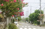 D2013042_007H