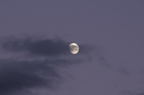 D2013059_155H