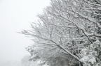 D2014005_006H