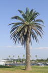 D2014036_002V