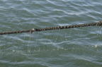 D2014037_008H