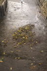 D2014041_038V