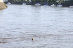 D2014041_045H
