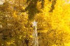 D2014048_038H