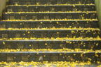 D2014049_051H