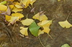 D2014052_011H