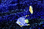 D2014053_103H