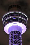 D2019016_060V