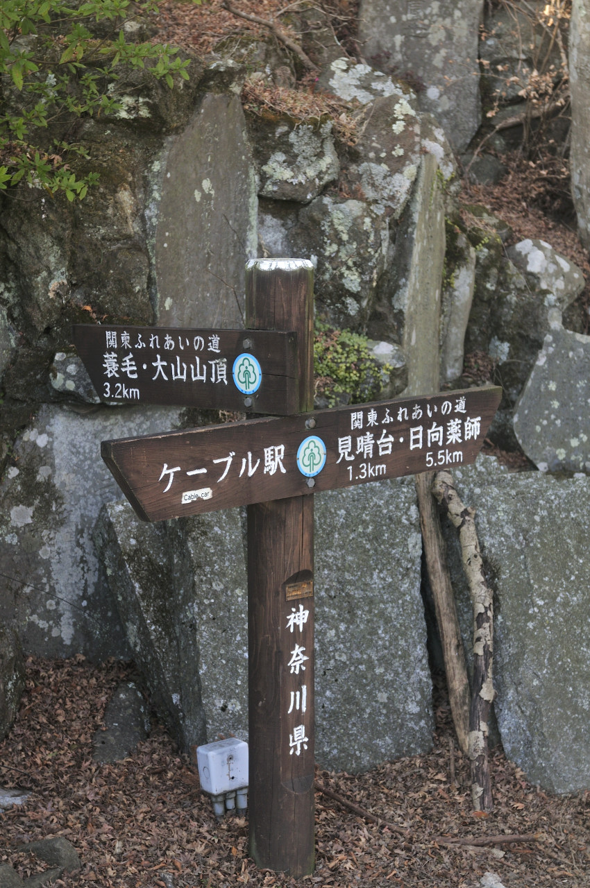 D2023003_200V