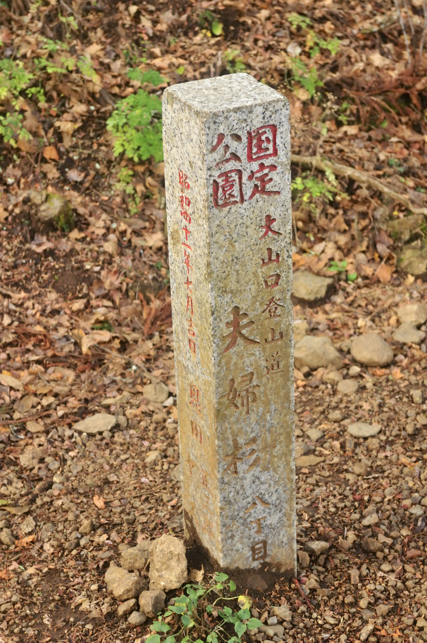 D2023090_197V