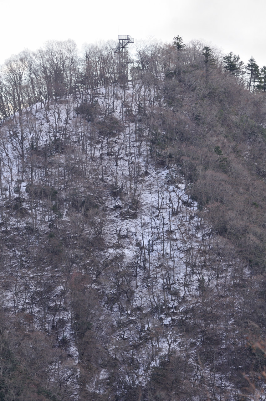 D2025006_146V