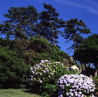 F20043203_07S