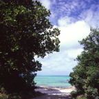 F20091605_05S